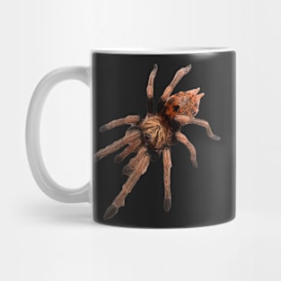 GBB Tarantula Chromatopelma cyaneopubescens Mug